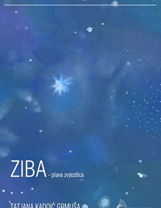 ZIBA – plava zvjezdica
